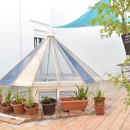Veedor 12 Apartman Cádiz Kültér fotó