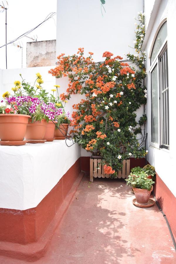 Veedor 12 Apartman Cádiz Kültér fotó