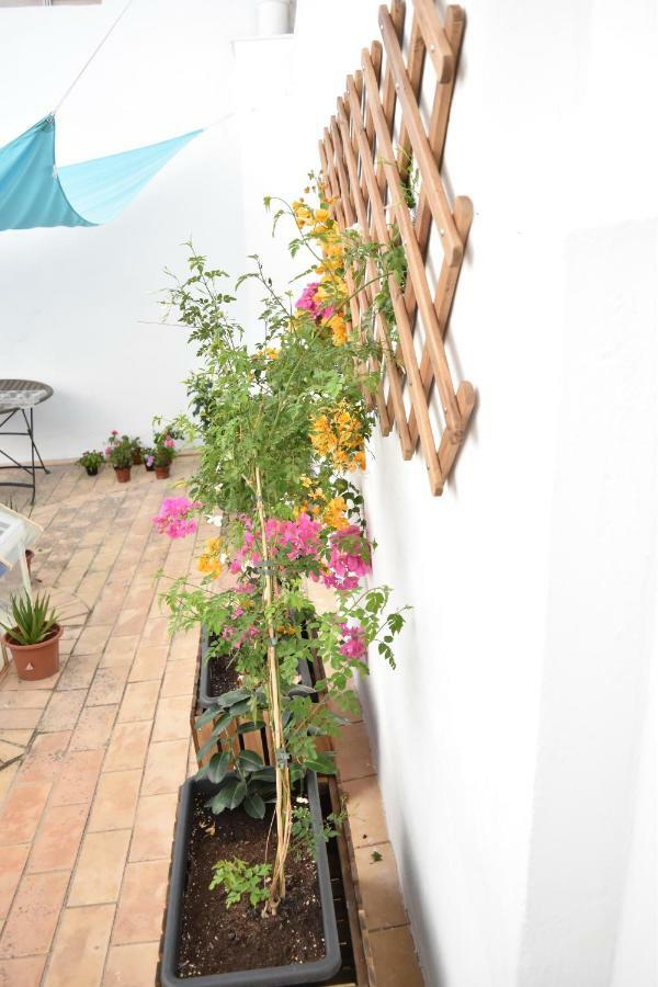 Veedor 12 Apartman Cádiz Kültér fotó